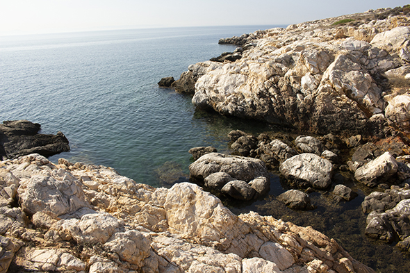 Mare